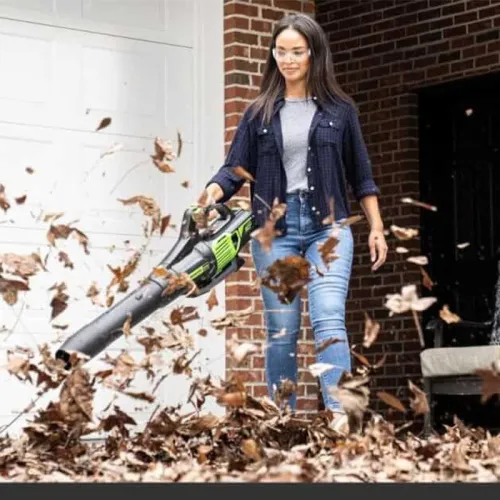 Воздуходув Greenworks GD60AB 60V 2405607 бесщеточный аккумуляторный — детальное фото