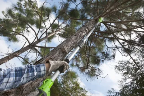 Высоторез-сучкорез Greenworks G24PS20 24V 2000107 (20 см) аккумуляторный — детальное фото